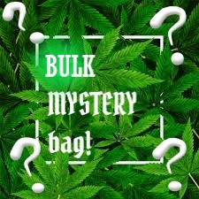 MYSTERY BULK - KING CRAFT