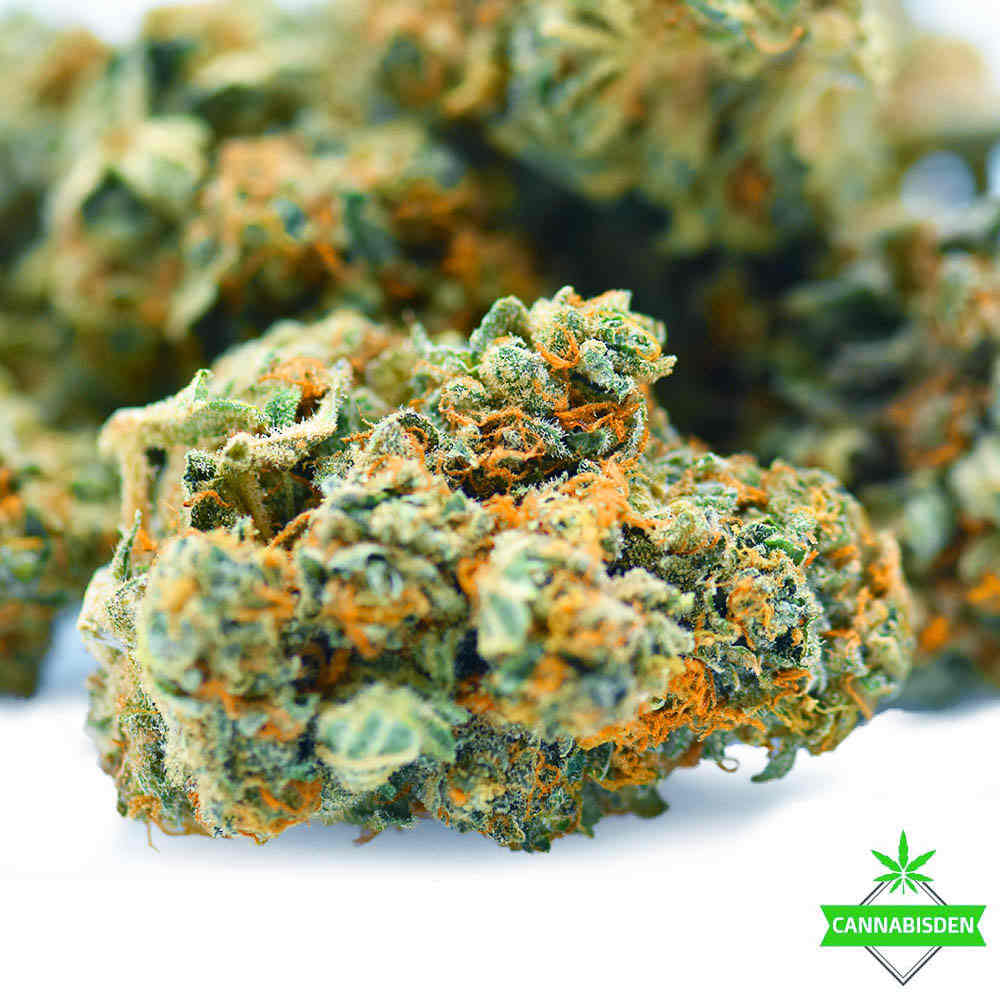 Fire Og- AA- ($2.14/ gram)