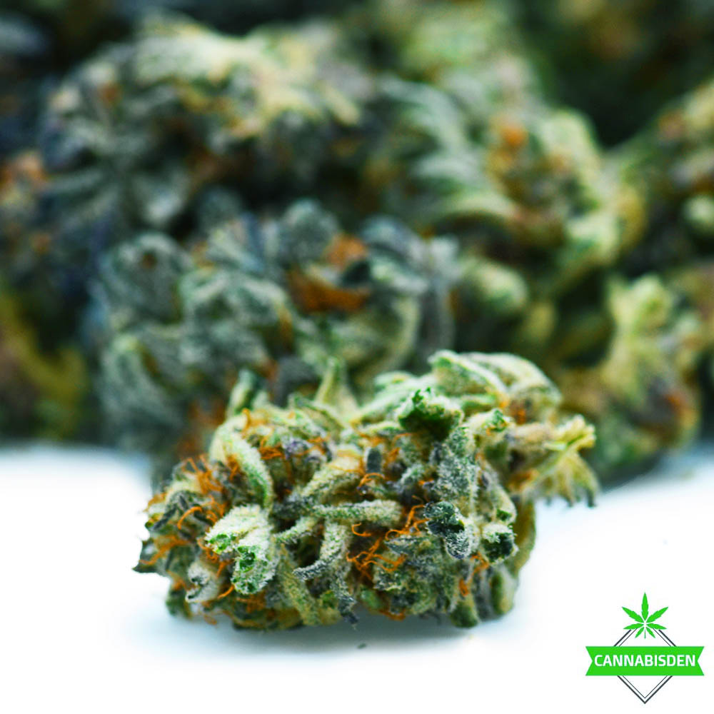 Wifi Fire OG-AAA -($6.42/per gram)