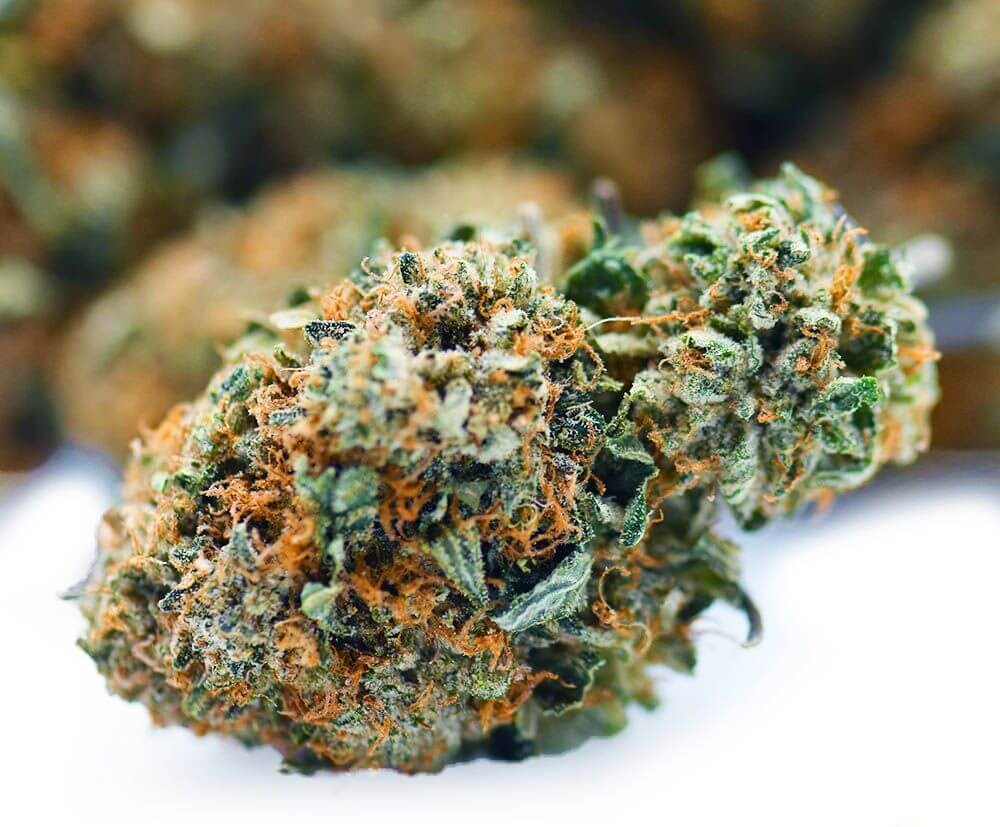 Comatose – AAAA+/Craft- ($9.64/ per gram)- BULK