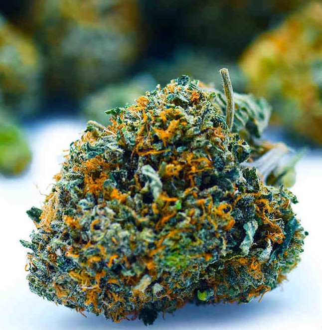 Death Bubba- AAAA+/Craft-($9.64/ per gram)-BULK