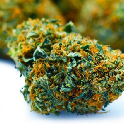 Shark Shock- AAAA+/Craft- ($9.64/ per gram)- BULK