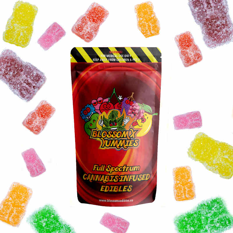 BlossomX - Assorted Gummy Bears - Sour- 600mg CBD (10 x 60mg)