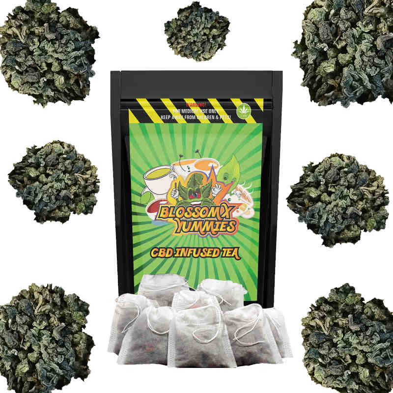 BlossomX - CBD Infused Green Tea - 8 Bags - 80mg