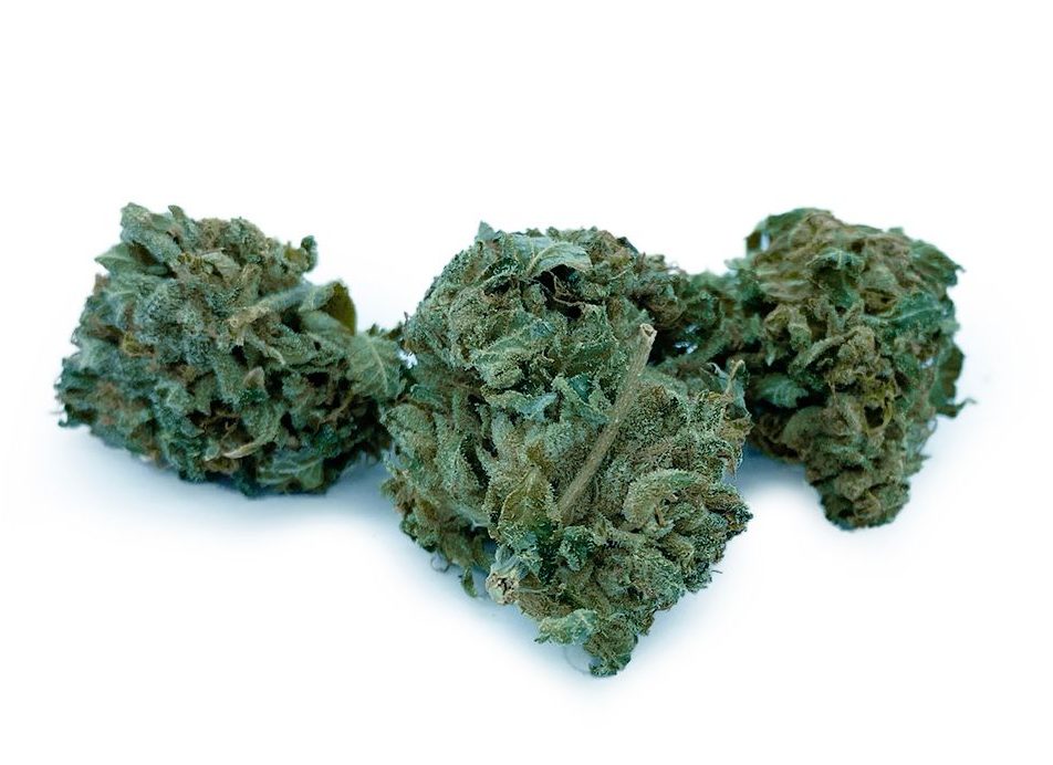 Sour Mango AAA
