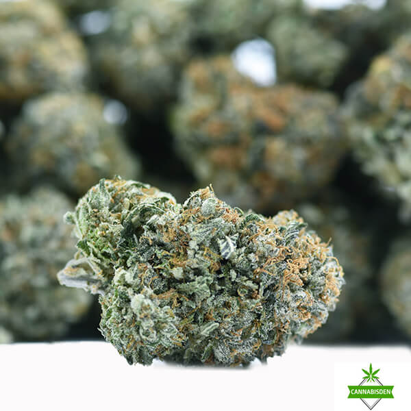 Island Rockstar- King Craft- ($10.71/ gram)
