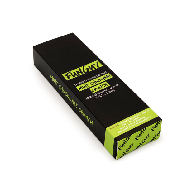 FunGuy-Mint Chocolate Crunch Bar