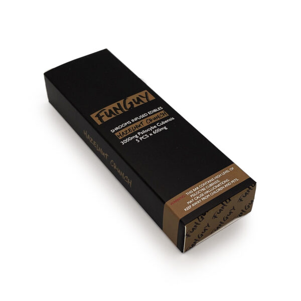 FunGuy-Hazelnut Crunch Bar
